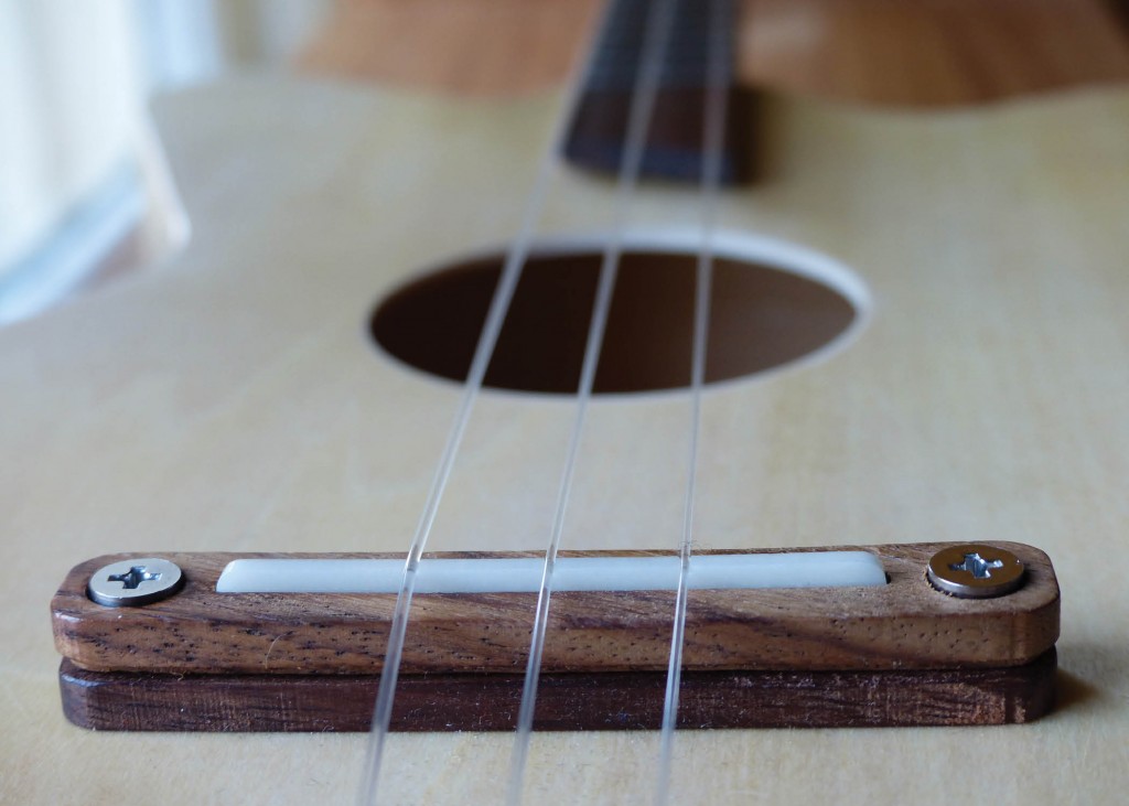 Loog acoustic long