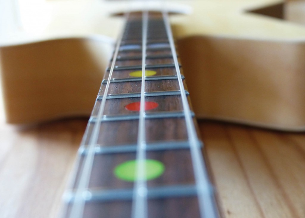 Loog acoustic lower long