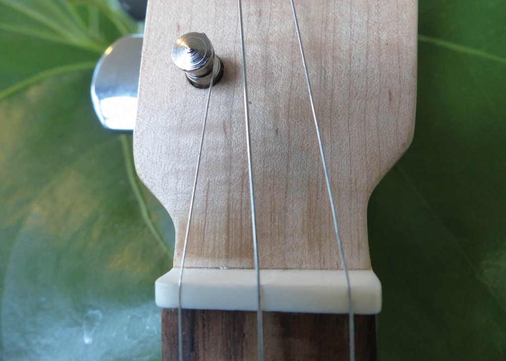 Loog electric head